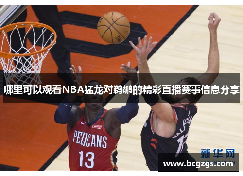 哪里可以观看NBA猛龙对鹈鹕的精彩直播赛事信息分享