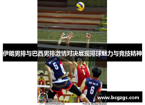 伊朗男排与巴西男排激情对决展现排球魅力与竞技精神